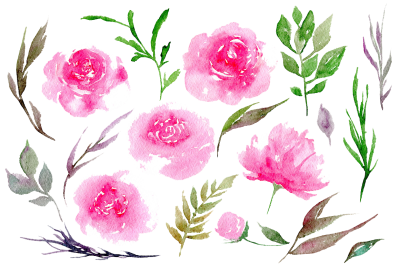  Peonies Clipart