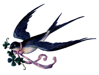  Fairy Bird PNG Free Download