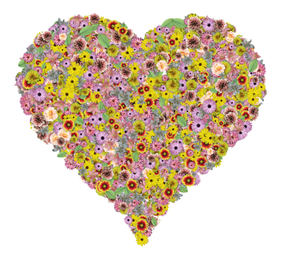 flower-heart
