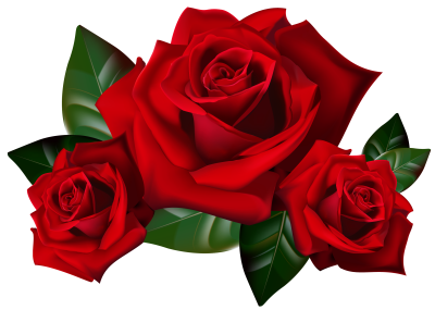  Rose Clipart