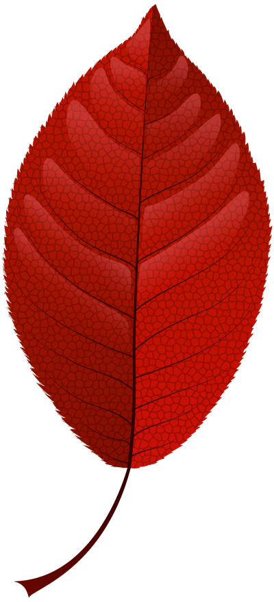 red-fall-leaf