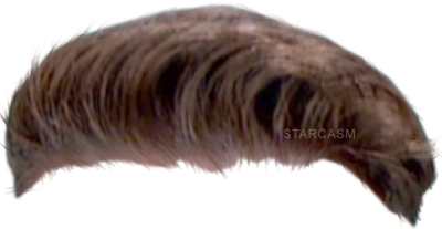  Haircut PNG Photo
