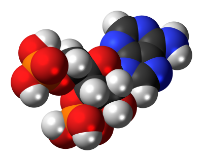  Molecular Structure PNG HD