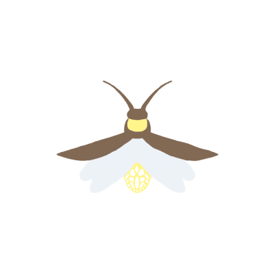  Firefly Transparent Background
