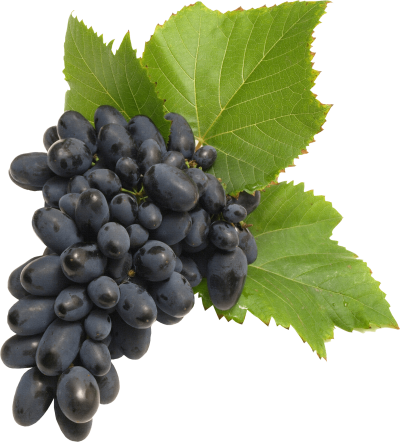 black-grapes