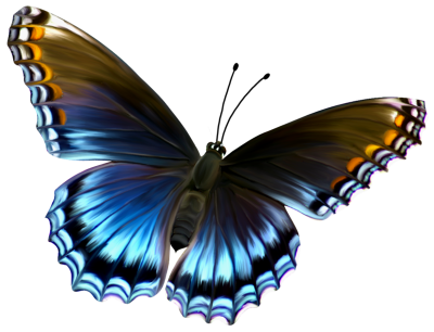  Amazing Butterfly PNG