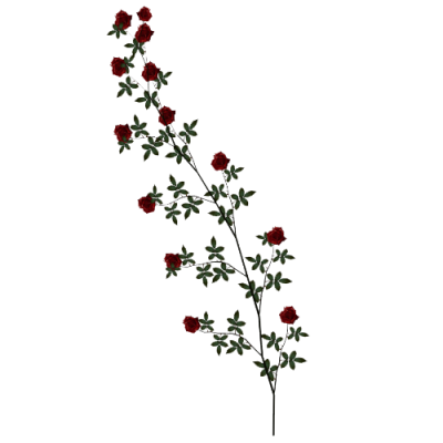  Rose Vine PNG Clipart