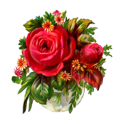  Red Rose PNG Pic