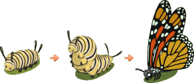  Caterpillar Free Download Png