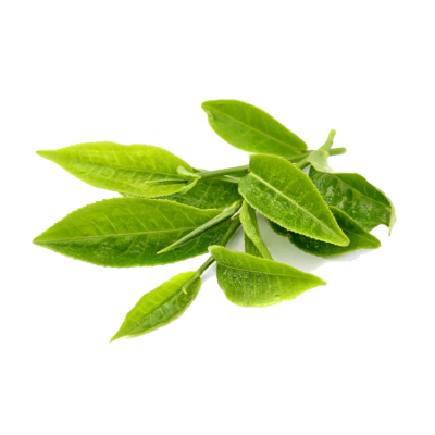  Green Tea Transparent PNG