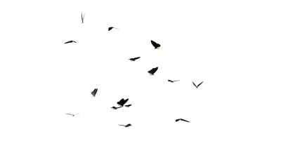  Butterflies Swarm PNG Clipart