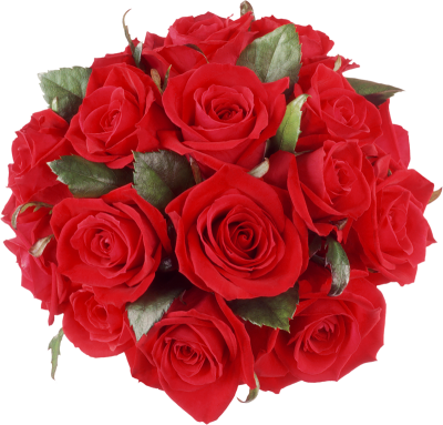  Rose Bunch PNG File