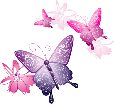  Vector Butterfly PNG