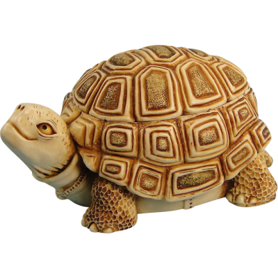  Box Turtle Transparent Background