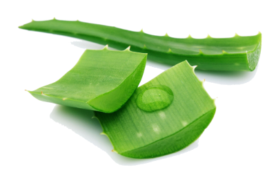  Aloe