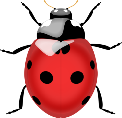 Ladybug-background-transparent