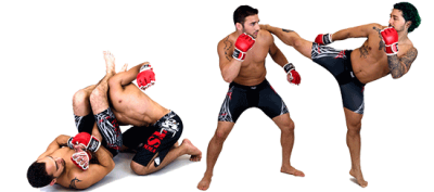  MMA PNG Free Download