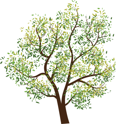  Tree Png Image