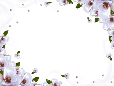  White Flower Frame PNG Image