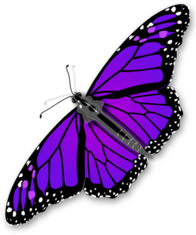  Purple Butterfly Transparent