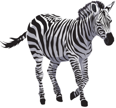  Zebra File