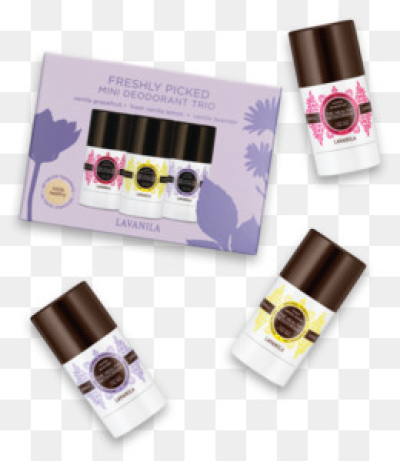 Rave Dance Party PNG - Fans Rave Dance Party. - CleanPNG / KissPNG