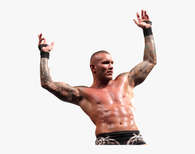Transparent Randy Orton Png - Randy Orton Rko Transparent, Png ...