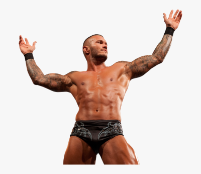 Transparent Randy Orton Rko Png - Randy Orton Rko Body, Png ...
