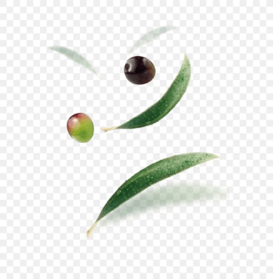 Tapenade Olive Madama Oliva S.r.l. Snack Lupin Bean, PNG ...