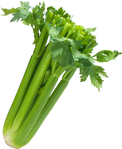 Striped Celery Snack - MR. HOLMES' CLASS