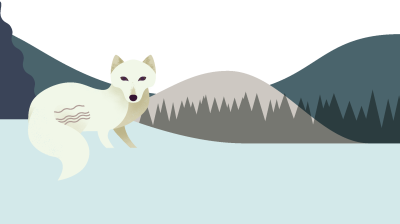 Snow Arctic Fox PNG Transparent HD Photo