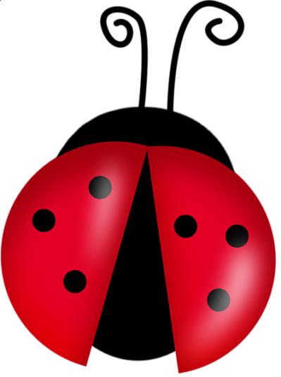  Ladybug Png File