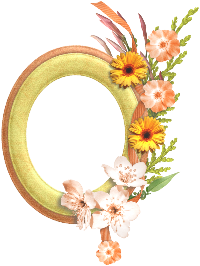  Gold Flower Frame Transparent Background