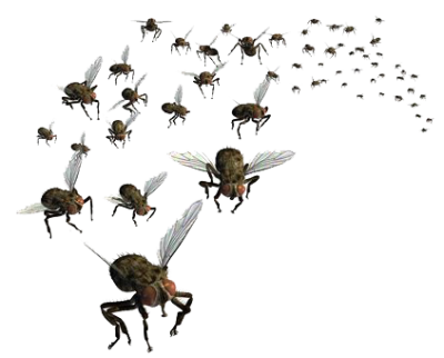  Flies
