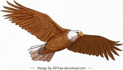flying-eagle-icon-straight-wings-sketch_6840727